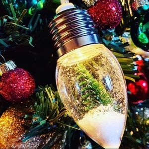 Target snow globe string lights-hard to find